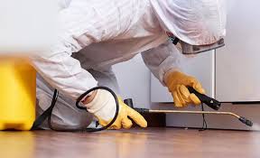 Real Estate Pest Inspections in Boiling Springs, PA